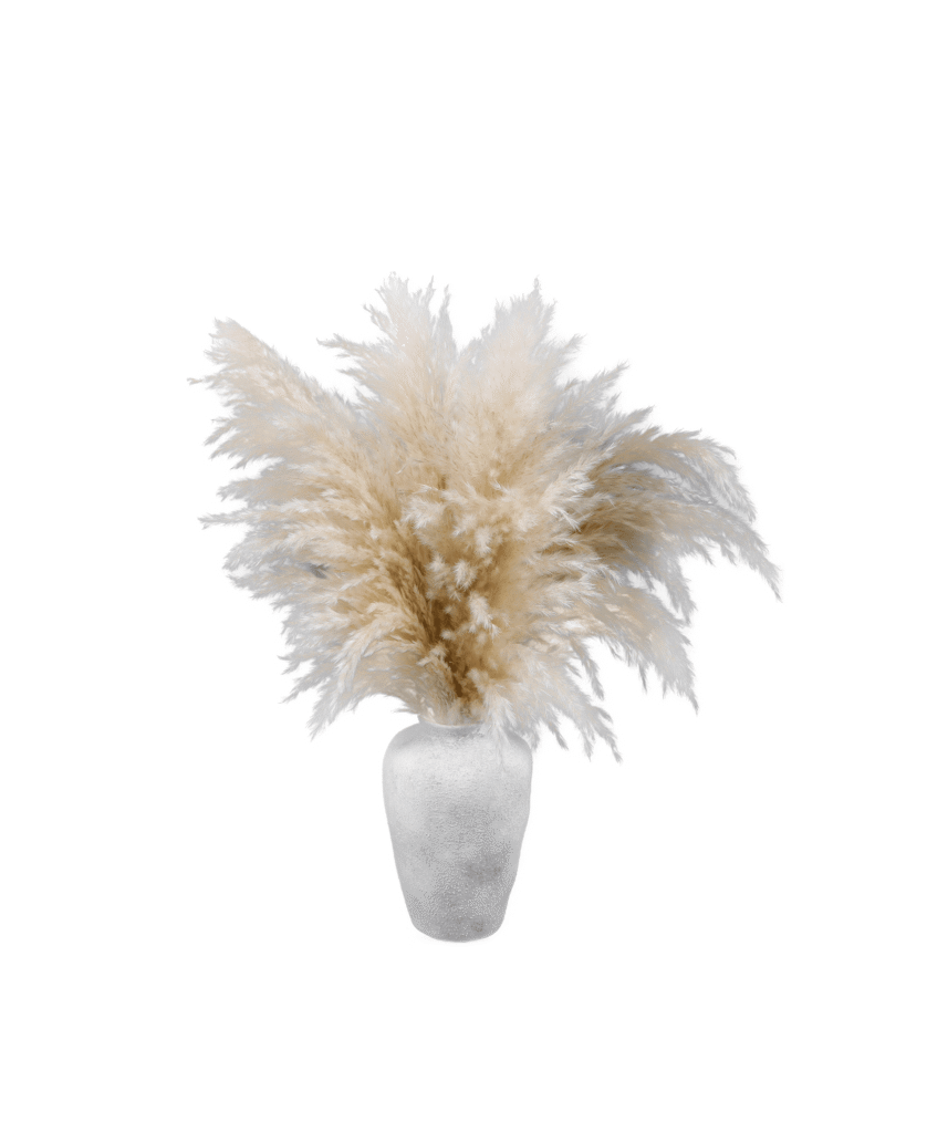 Home Decor Collection 22-Inch Pampas Grass Arrangement in Natural Ceramic Vase for Modern or Boho Spaces