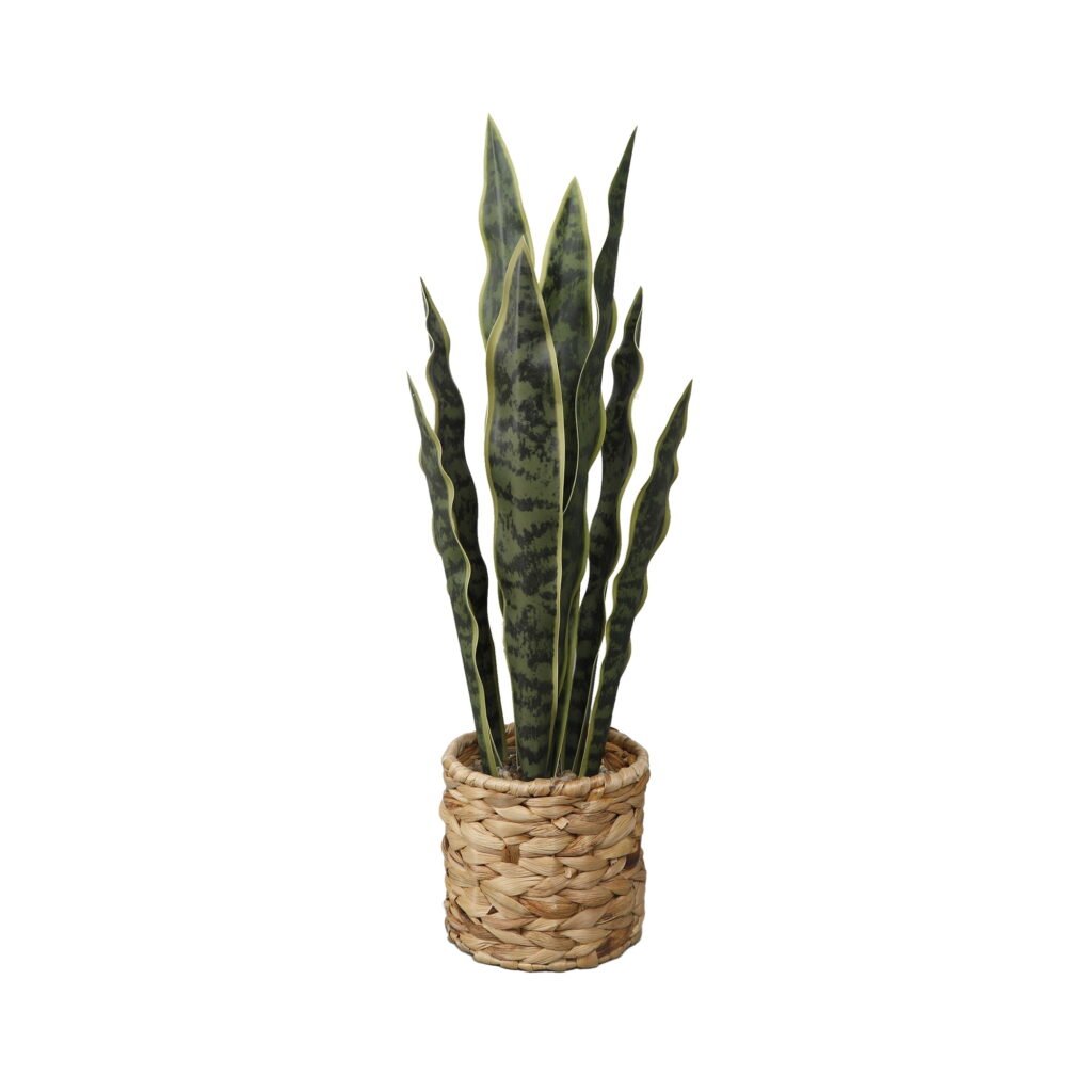 Home Decor Collection Flora Bunda 24.3" Artificial Snake Plant in Rattan Basket